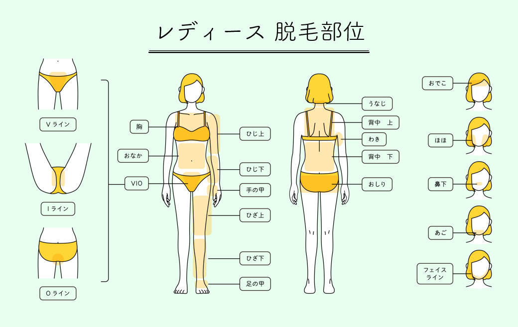 脱毛