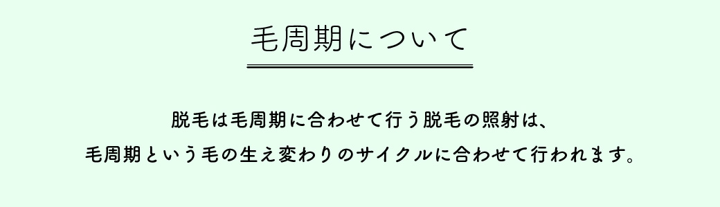 脱毛
