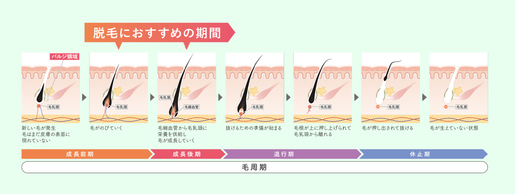 脱毛